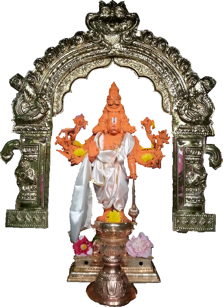 Hanuman Abhishekam